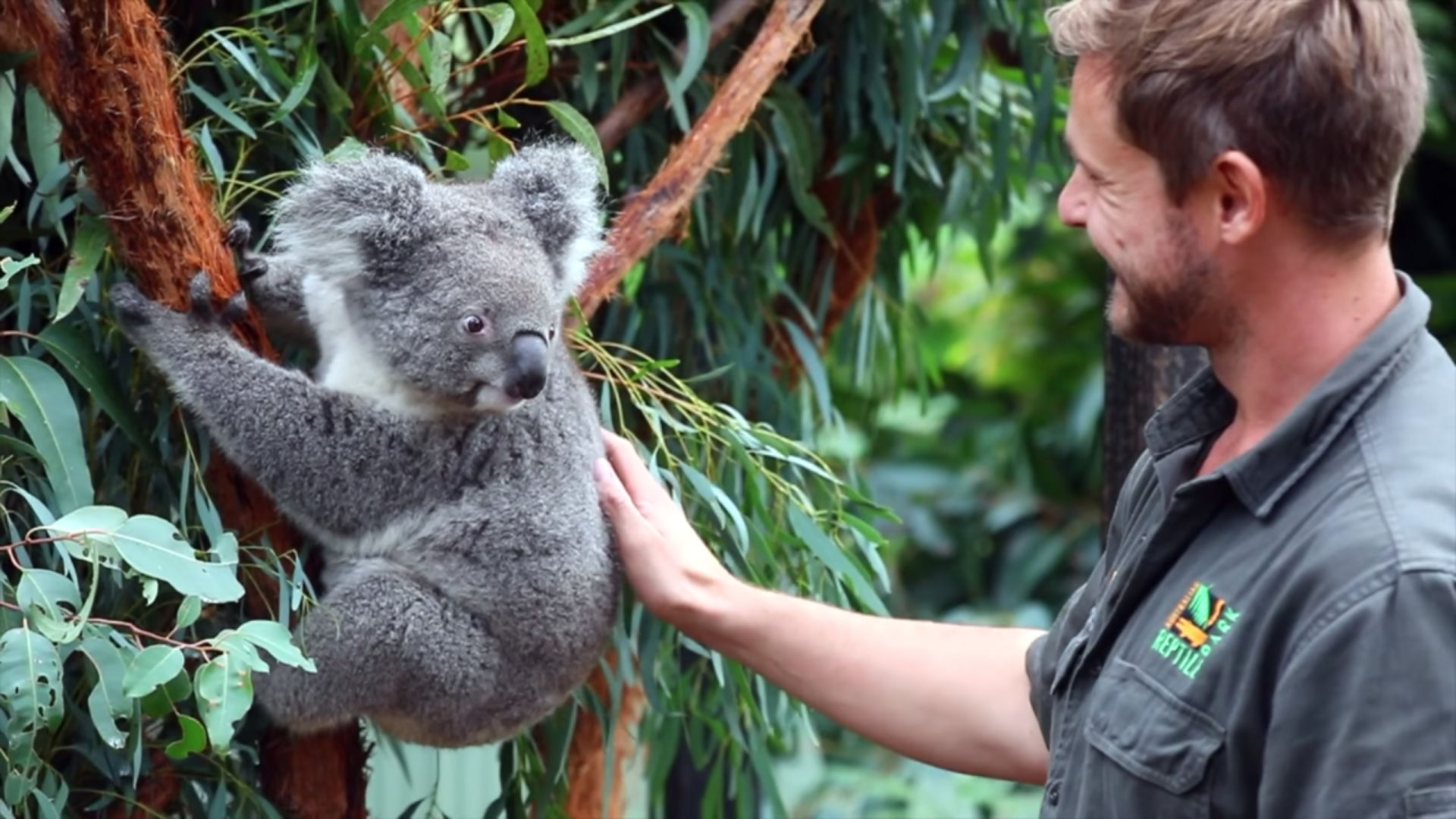 Australian Reptile Park